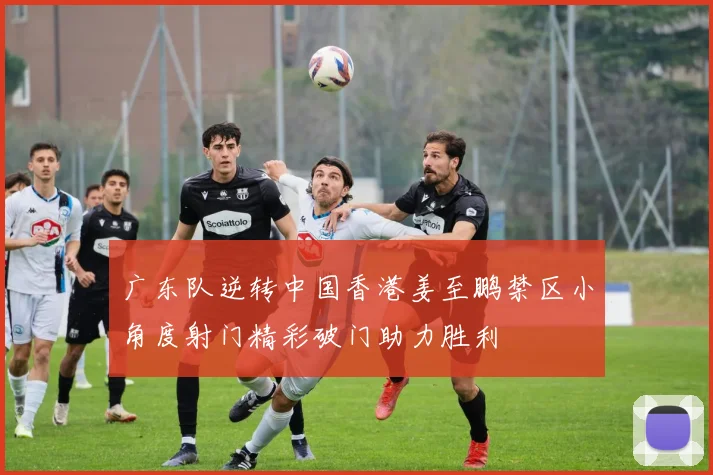 广东队逆转中国香港姜至鹏禁区小角度射门精彩破门助力胜利