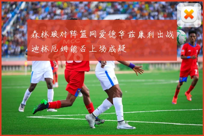 森林狼对阵篮网爱德华兹康利出战迪林厄姆能否上场成疑