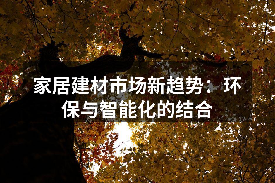 家居建材市场新趋势：环保与智能化的结合